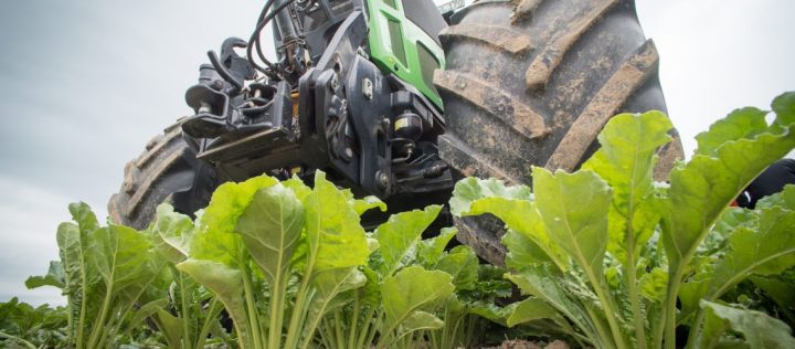 sugar-beet-2499863_1920-1140x500