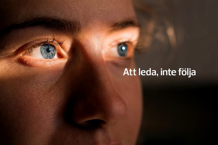 briab-att-leda-inte-folja