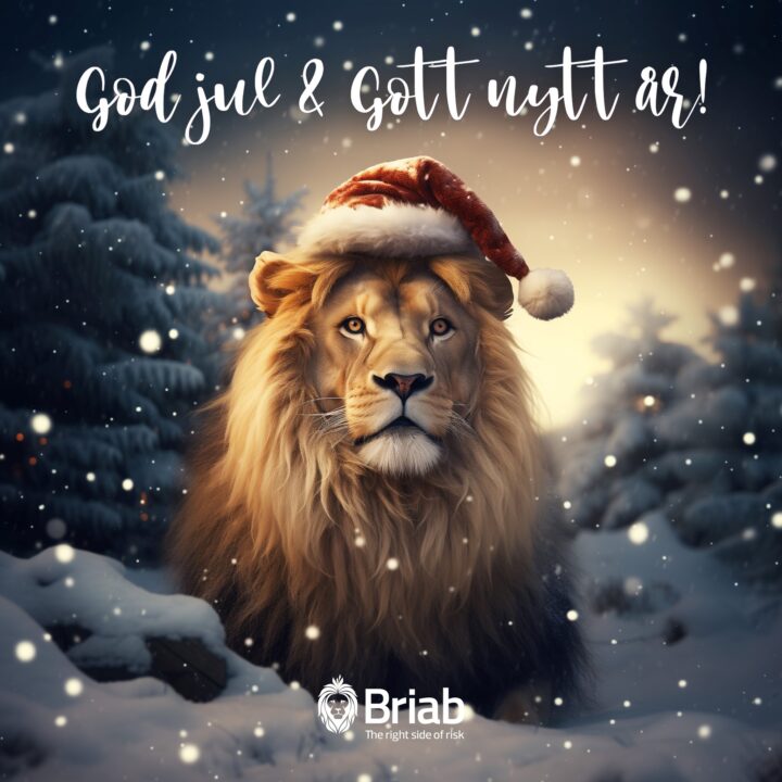 God Jul