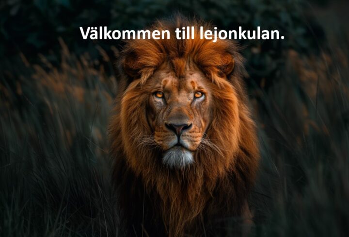 Skärmbild 2024-11-20 115336